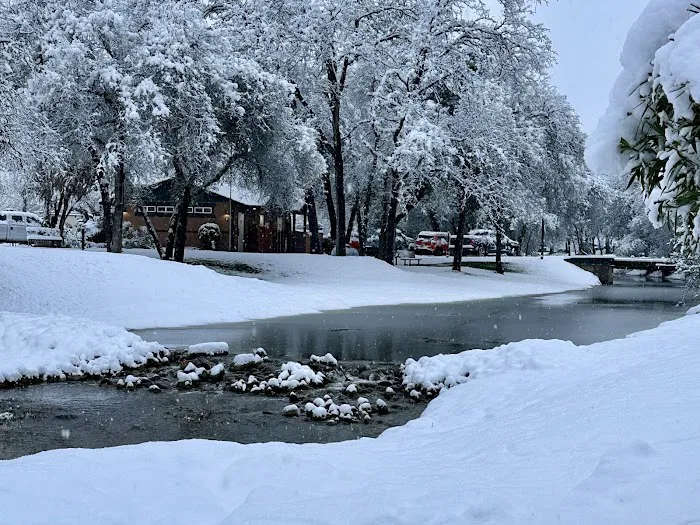 Boulder Creek RV Resort Picture 8