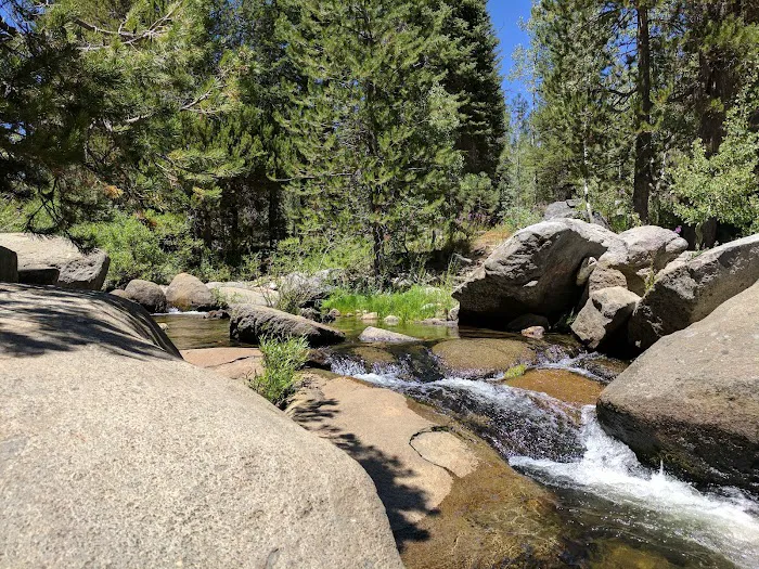 Peppermint Creek Picture 6