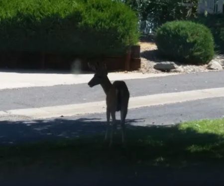 Cedar Oaks Mobile Home Park