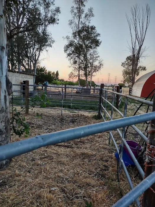 Tamarron Mobile Estates Picture 5