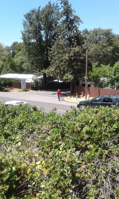 Tamarron Mobile Estates Picture 6
