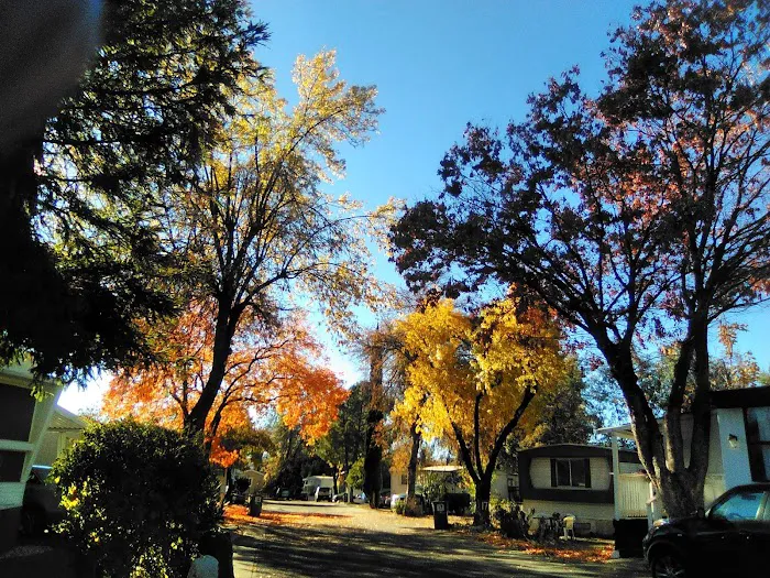 Park Villa Mobile Home Park Picture 4