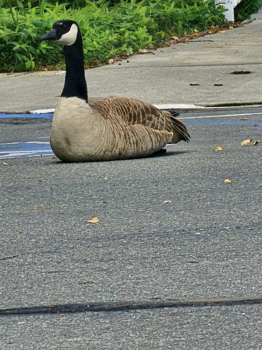 Twin Lakes Mobile Estates Picture 3