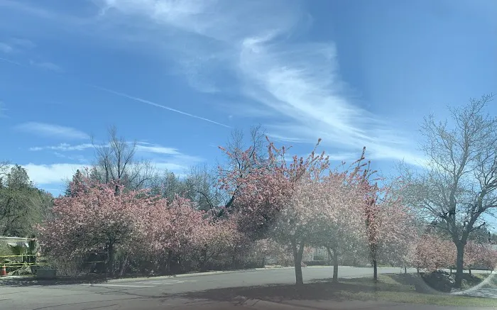 Twin Lakes Mobile Estates Picture 8