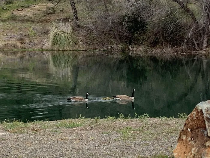 Twin Lakes Mobile Estates Picture 5