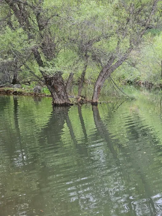 Twin Lakes Mobile Estates Picture 6