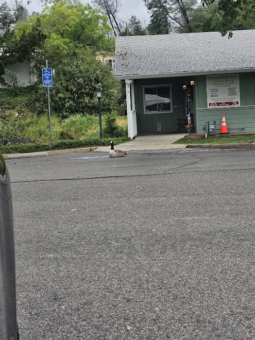 Twin Lakes Mobile Estates Picture 10