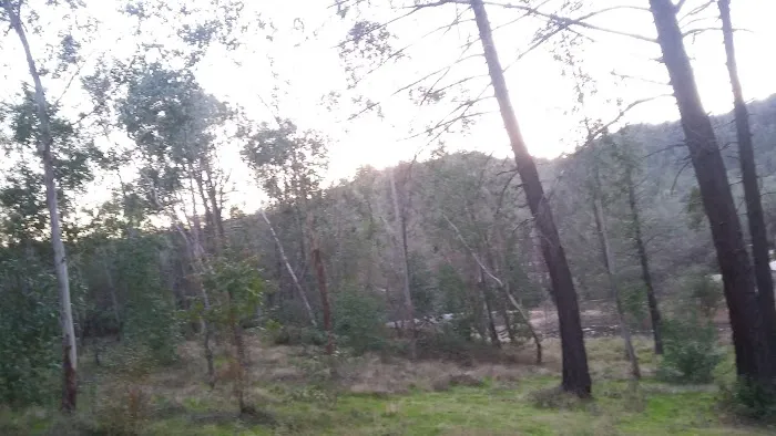 Shasta Lake Mobile Home Park Picture 8