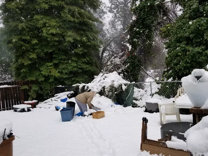 Wonderland Mobile Home And RV Park Picture 5