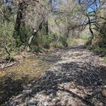 Bear Mountain RV Resorts