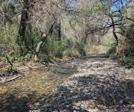 Bear Mountain RV Resorts