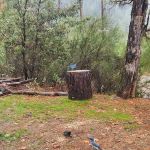 Lake Shasta Pines RV Park