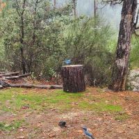 Lake Shasta Pines RV Park ico