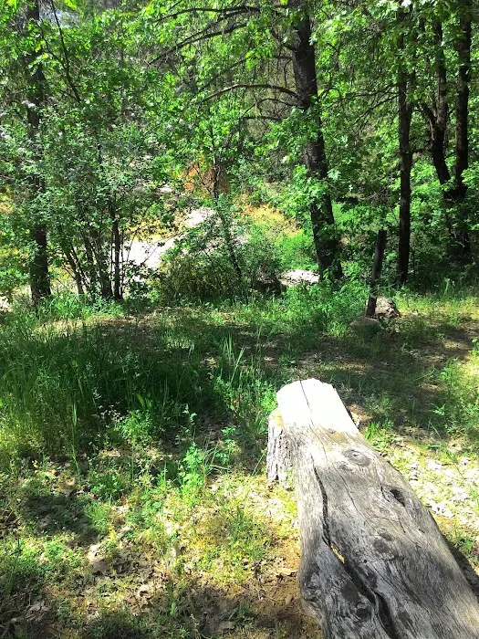 Lake Shasta Pines RV Park Picture 5