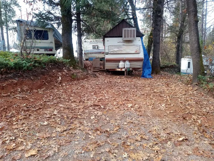 Lake Shasta Pines RV Park Picture 6