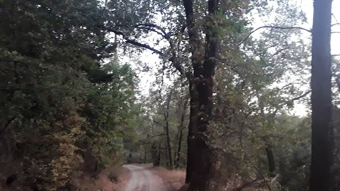 Lake Shasta Pines RV Park Picture 7