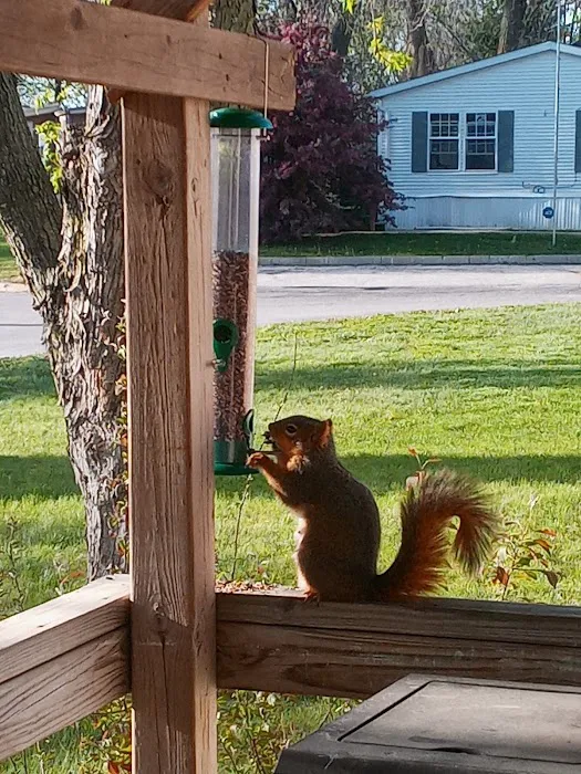 Park Meadow MHC LLC Picture 1