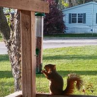 Park Meadow MHC LLC ico