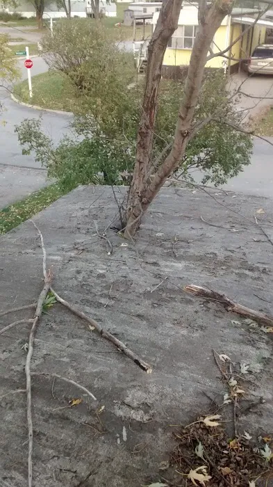 Park Meadow MHC LLC Picture 10