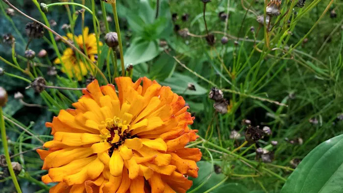 Meadowbrook Estates Picture 1