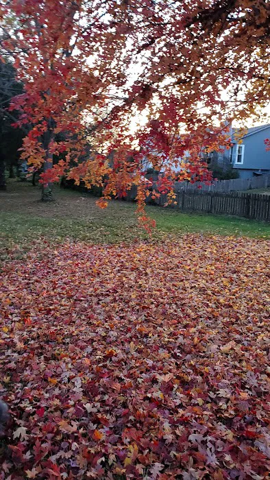 Meadowbrook Estates Picture 5