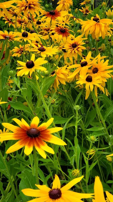 Meadowbrook Estates Picture 3