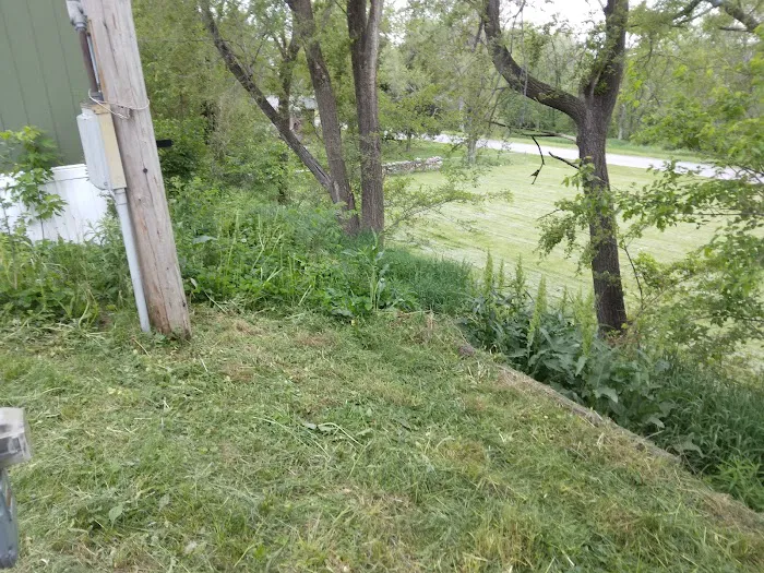 Home Trailer Park Picture 4