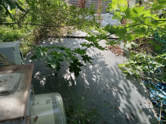 Bellevue Terrace Picture 6