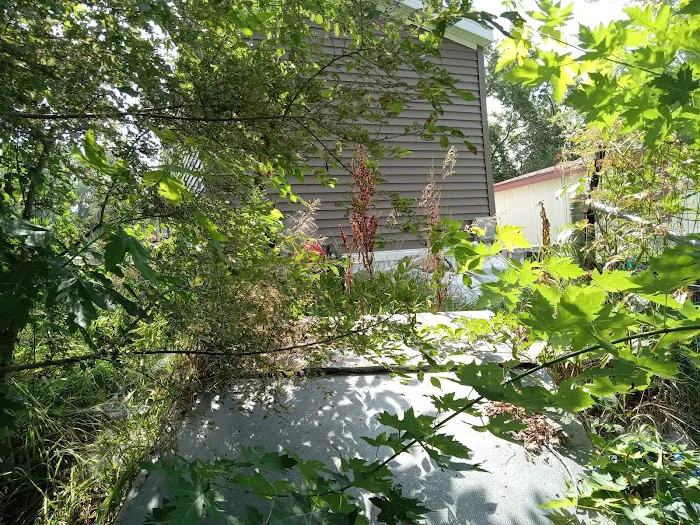 Bellevue Terrace Picture 7