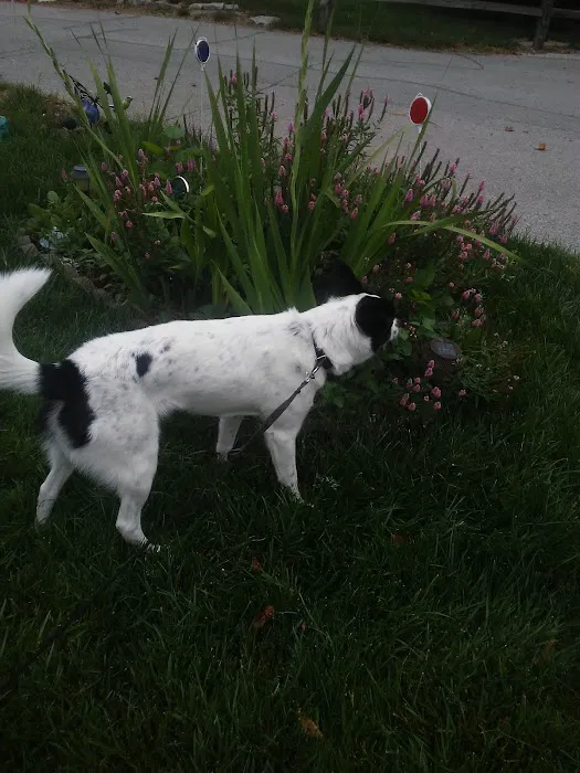 Washington Terrace LLC Picture 4