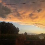 Regency Mobile Home Park