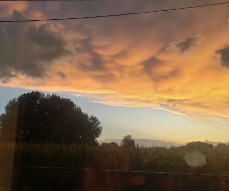 Regency Mobile Home Park