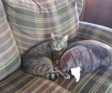 Westlake Mobile Home Park