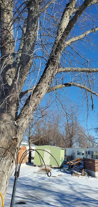 Meadowbrook Mobile Home Park Picture 10