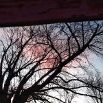 Meadowbrook Mobile Home Park