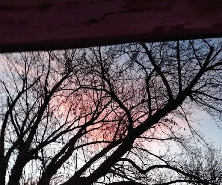 Meadowbrook Mobile Home Park