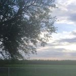 River View Park Resort & Marina