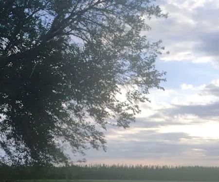 River View Park Resort & Marina