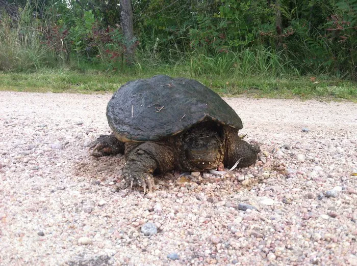 Stillwater Lakes Picture 1