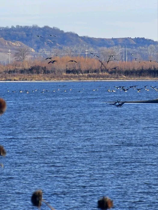 Fox Lake RV Resort Picture 2