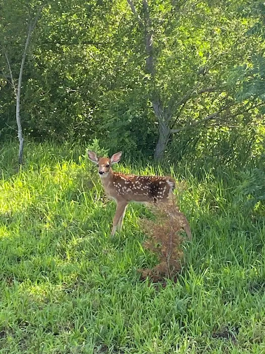 Little Rivers Edge RV Park Picture 9