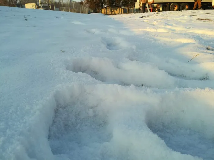 Highway 81 RV Park Picture 3