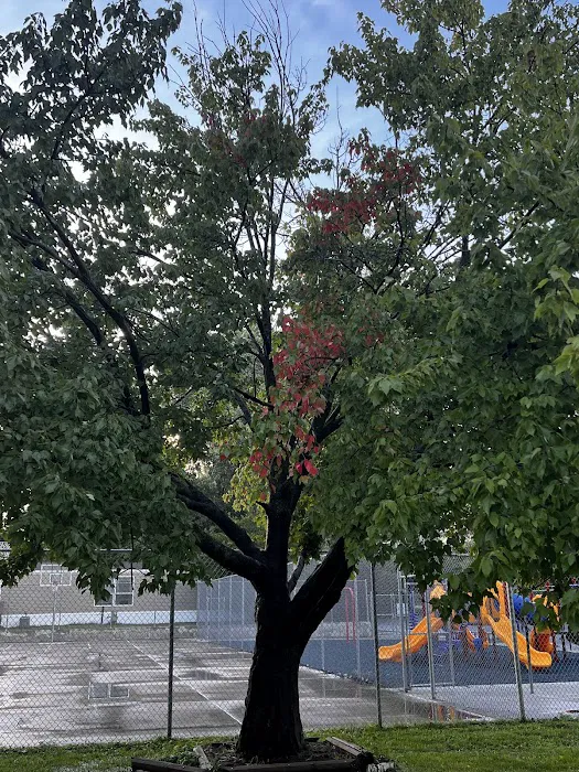 Lake Forest Mobile Home Community, LLC. Picture 7