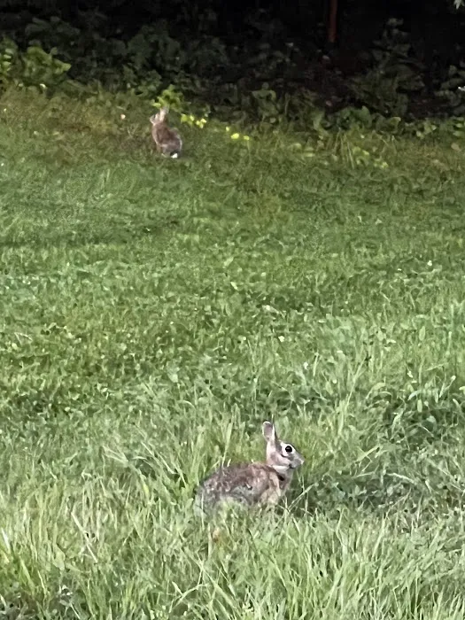 Lake Forest Mobile Home Community, LLC. Picture 5