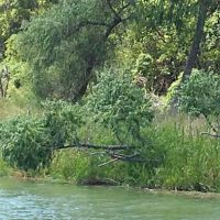 Mc Cook Mobile Estates ico