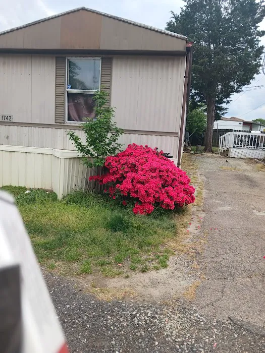 Suburban Mobile Village Picture 8