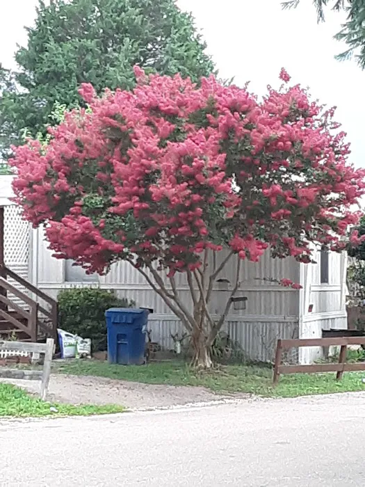 Suburban Mobile Village Picture 3