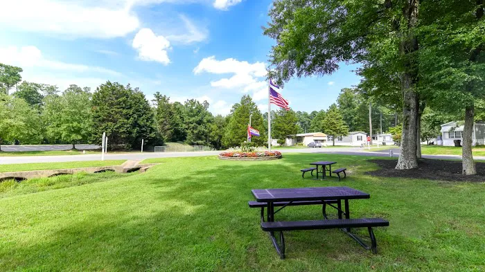 Sedgefield Mhc Picture 5
