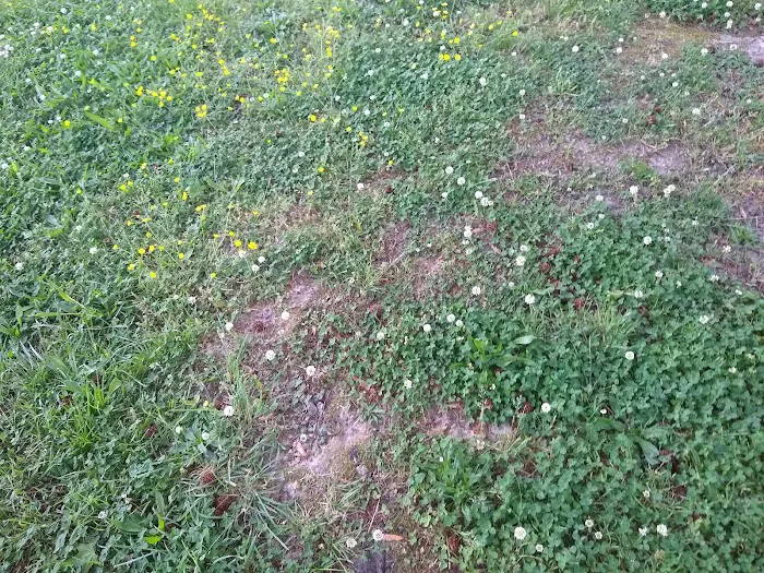 Worsham Mobile Home Park Picture 3