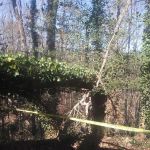 Harbour East Village